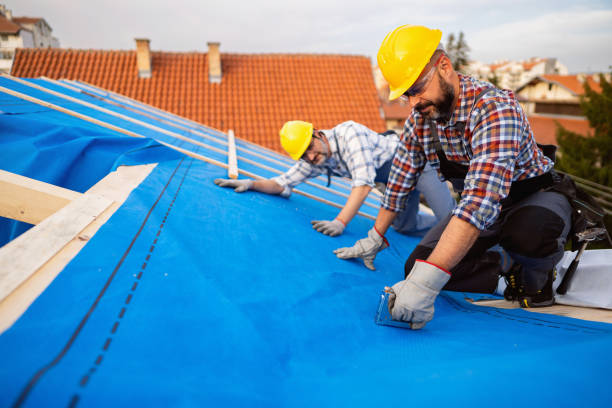 Best Roof Waterproofing Services  in Olney, IL