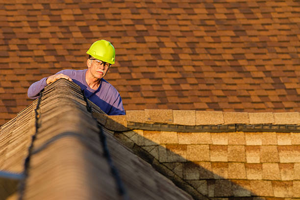 Best Roofing Contractor Near Me  in Olney, IL